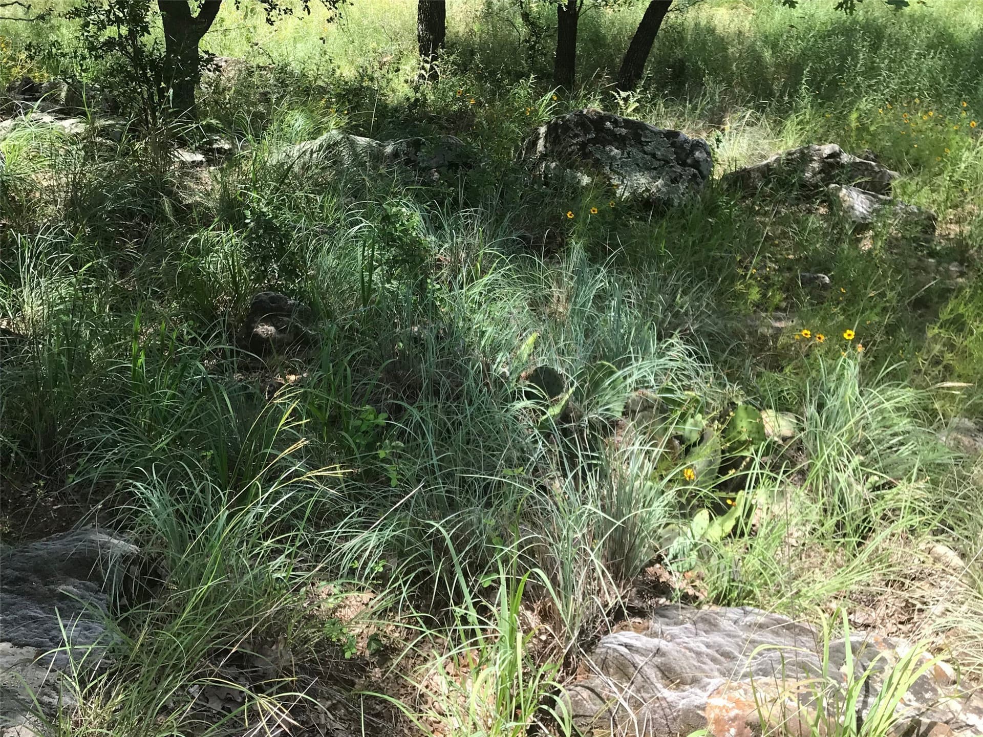 1.01 acres in Wise County - photo 4