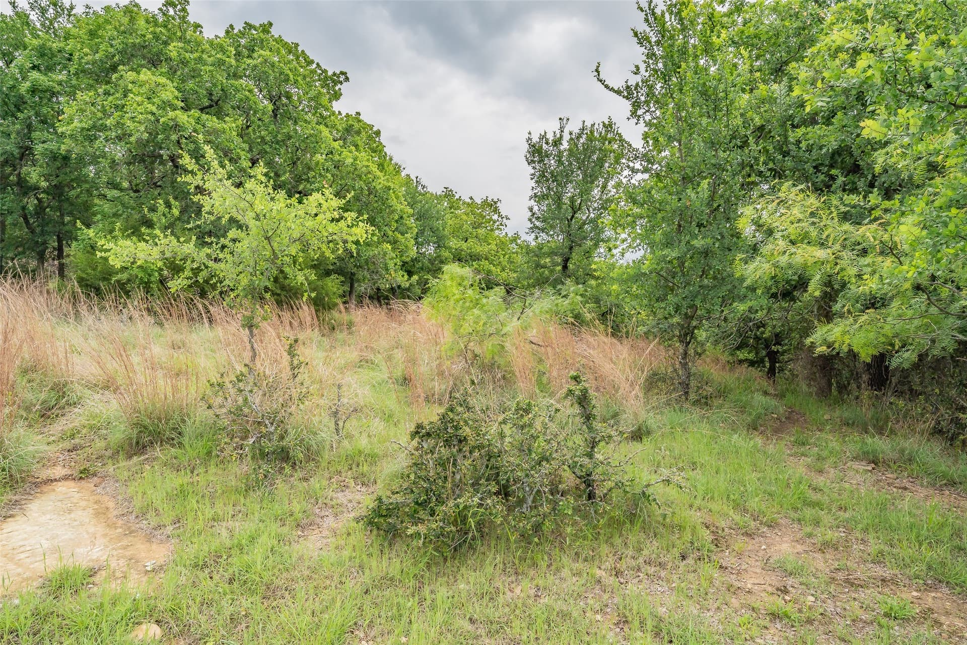 1.01 acres in Wise County - photo 7