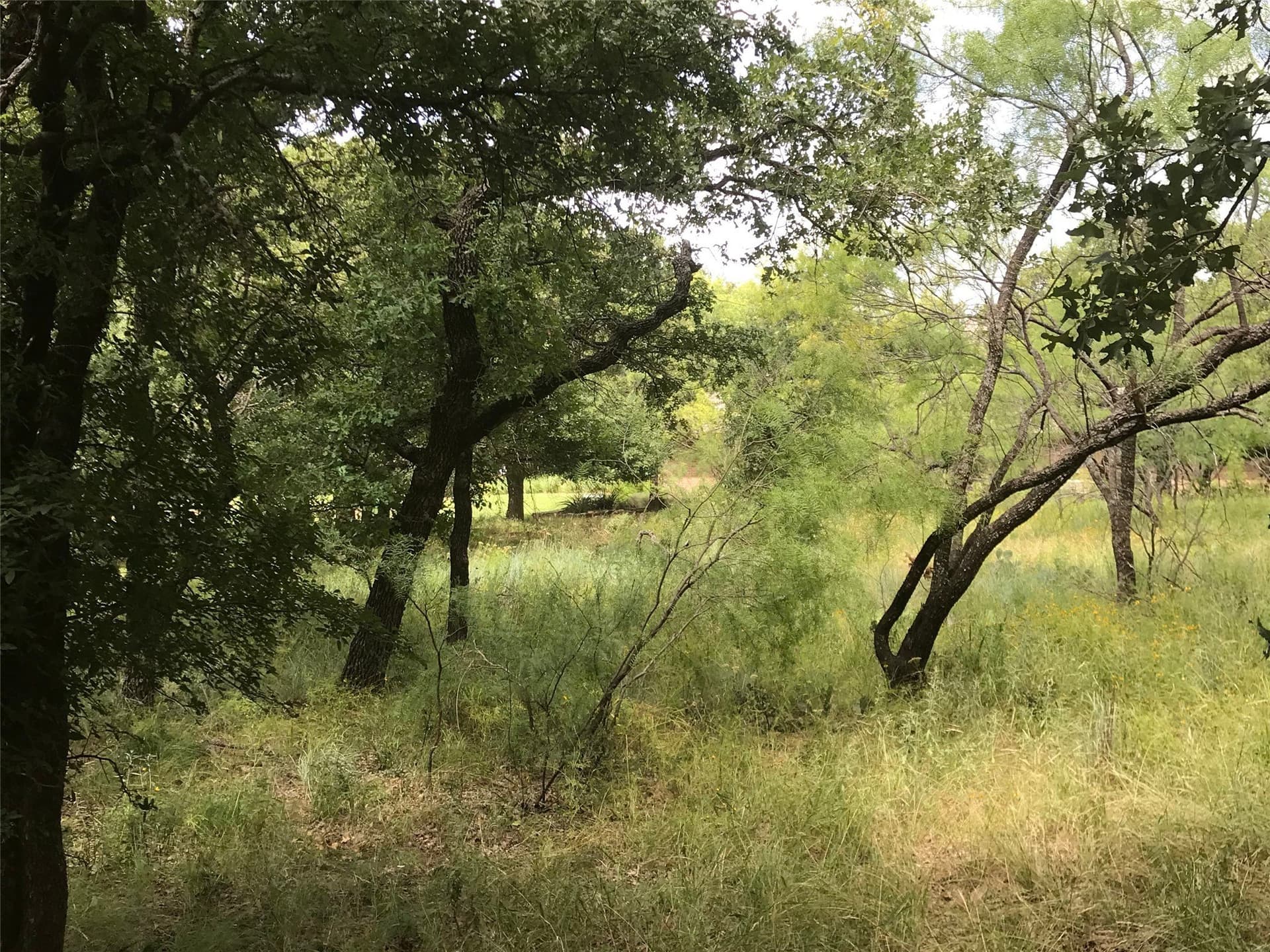 1.01 acres in Wise County - photo 10