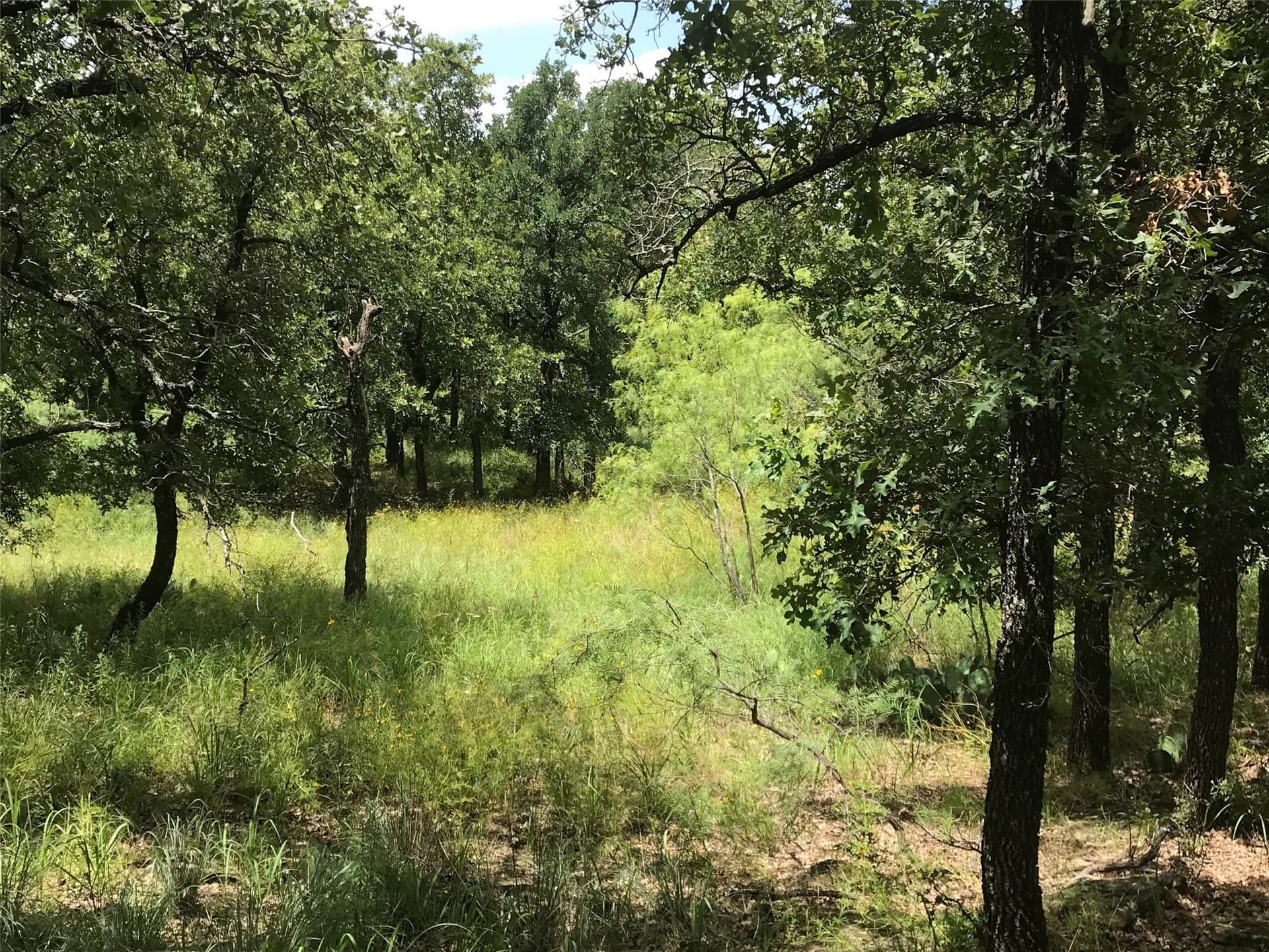 1.01 acres in Wise County - photo 3
