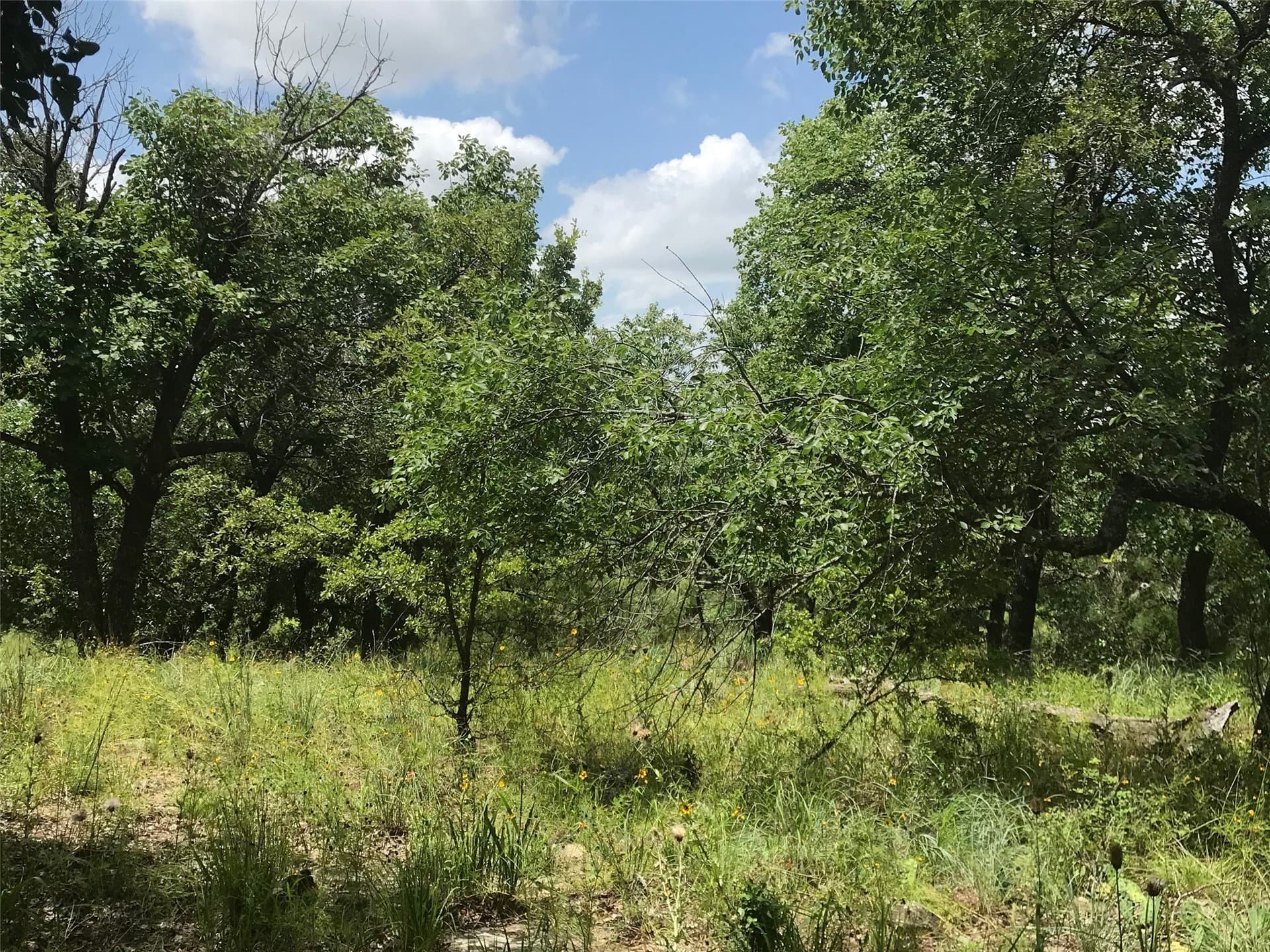 1.01 acres in Wise County - photo 7