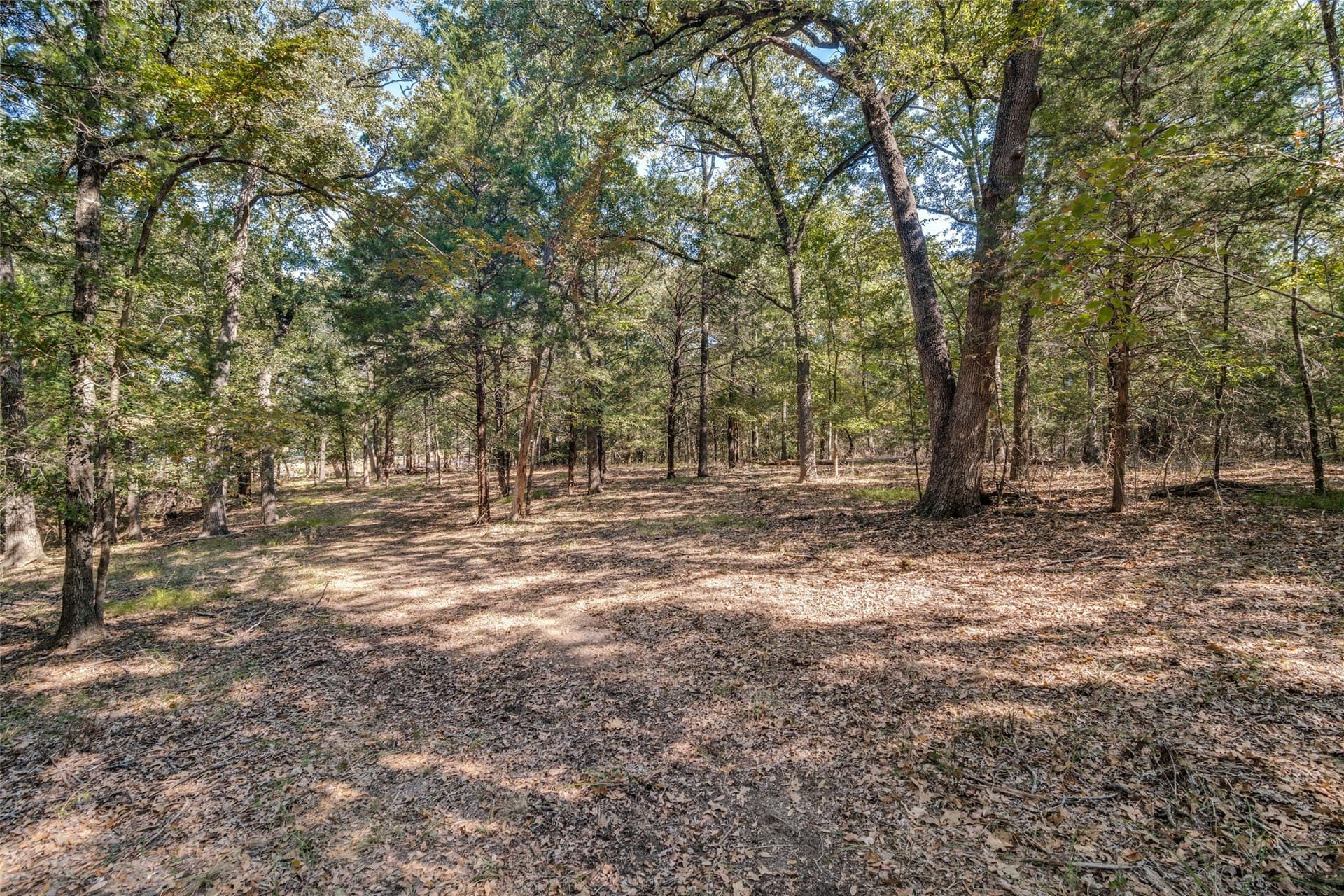 4.95 acres in Navarro County - photo 7