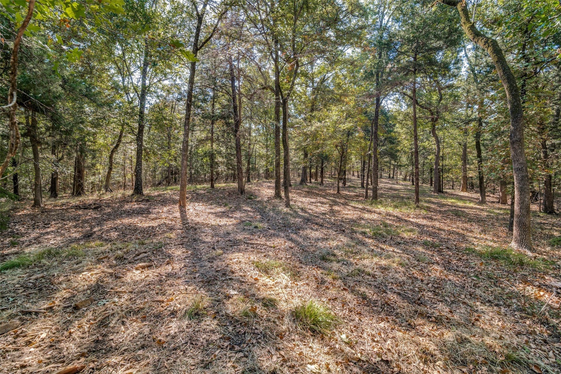 4.95 acres in Navarro County - photo 6
