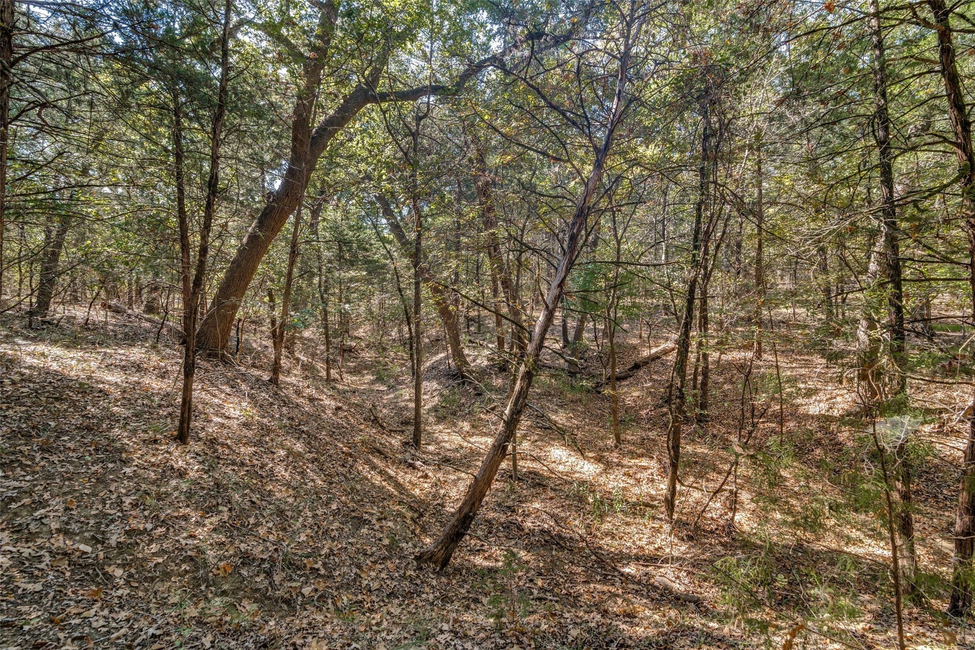 4.95 acres in Navarro County - photo 8