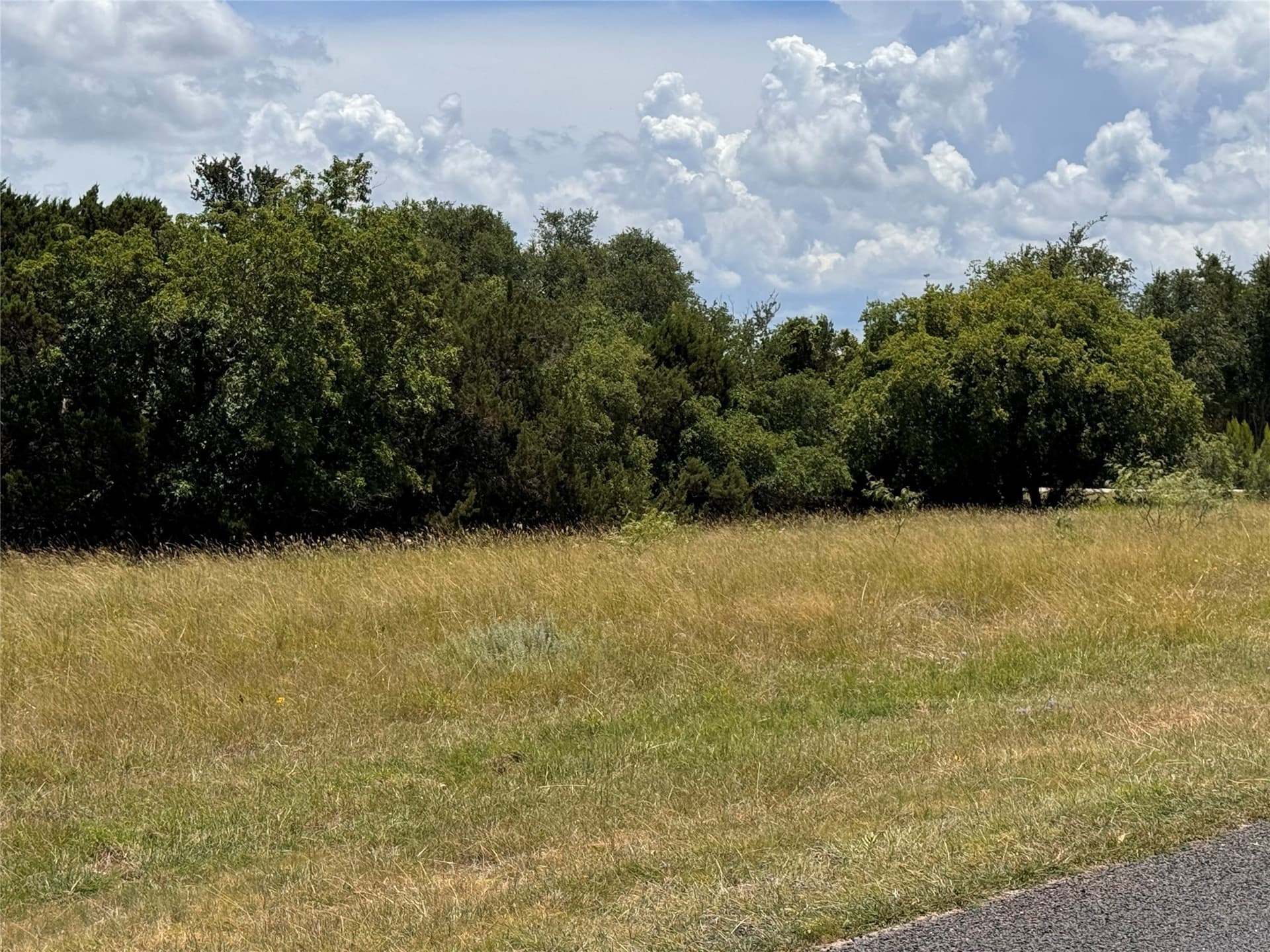 0.31 acres in Hill County - photo 2
