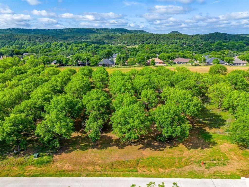 1.11 acres in Hood County gallery image 3