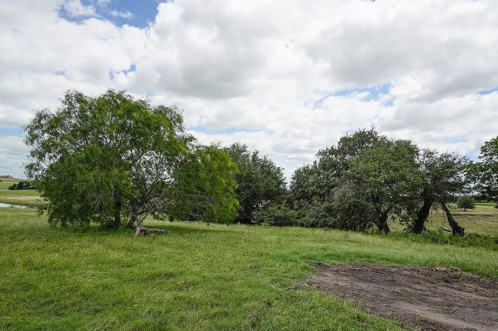 39.14 acres in Fayette County - photo 9