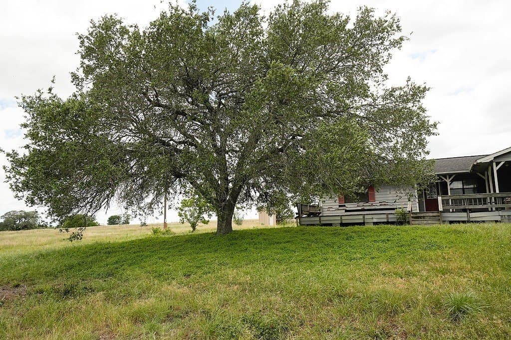 39.14 acres in Fayette County - photo 16