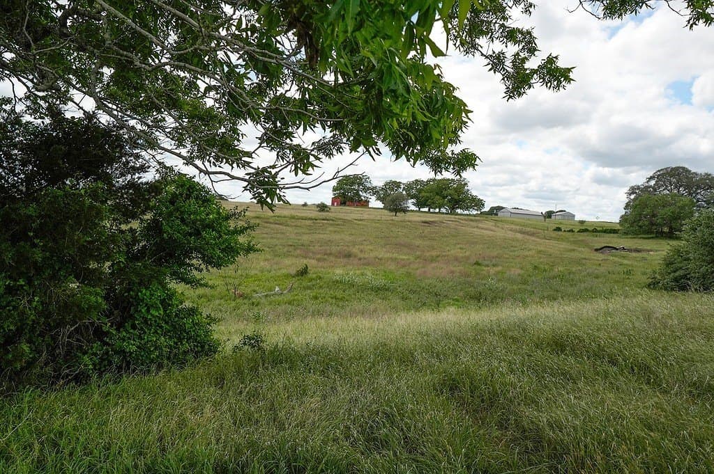 39.14 acres in Fayette County - photo 8