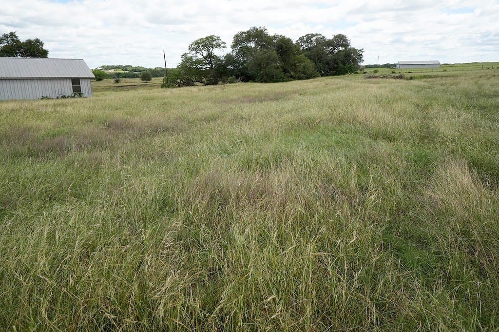 39.14 acres in Fayette County - photo 13