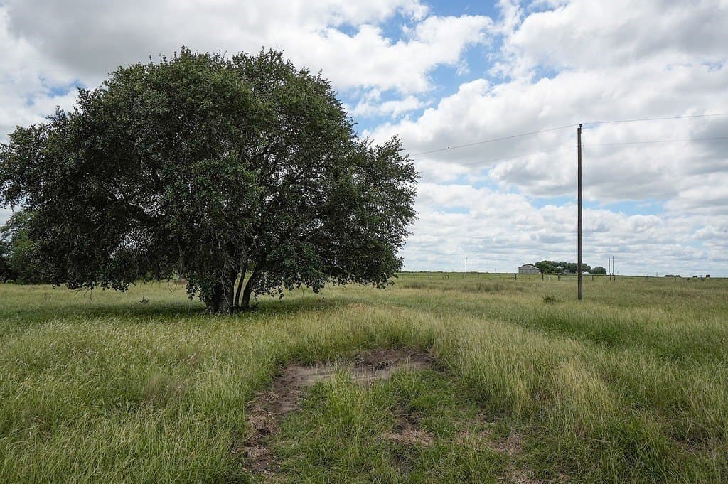 39.14 acres in Fayette County - photo 14