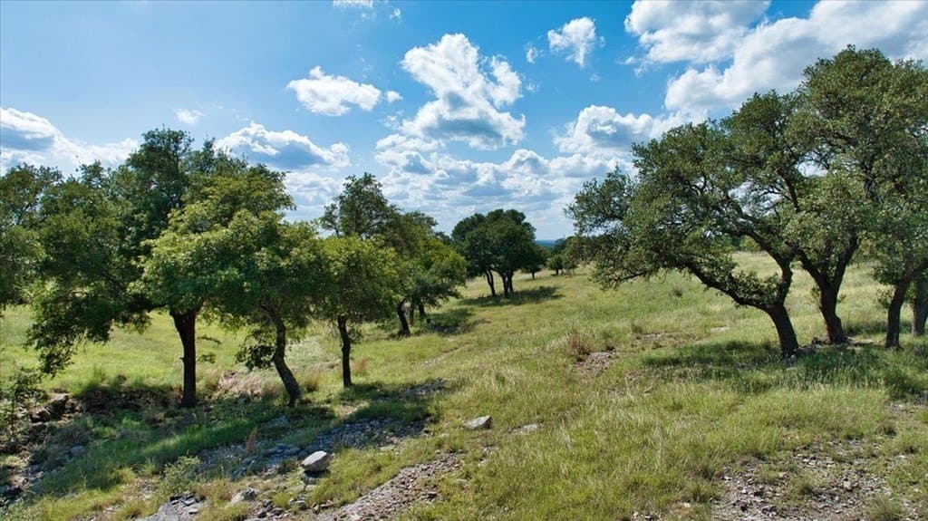 36.68 acres in Kendall County - photo 27