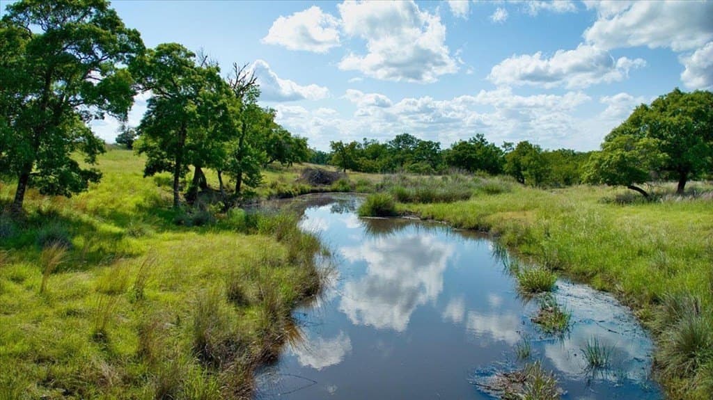 36.68 acres in Kendall County - photo 18