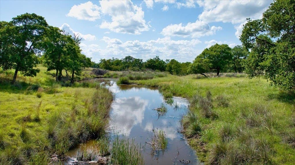 36.68 acres in Kendall County - photo 22