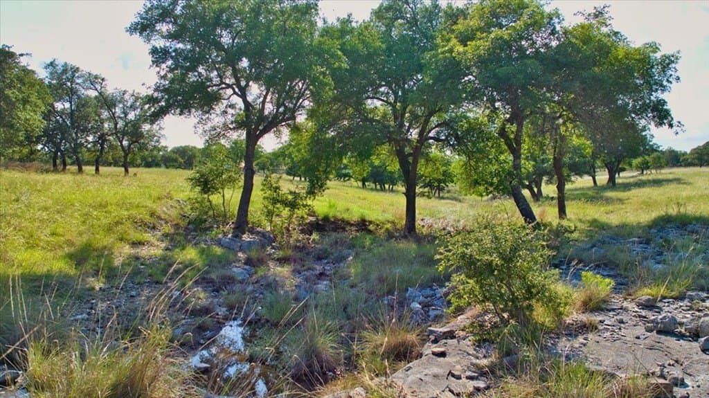 36.68 acres in Kendall County - photo 21