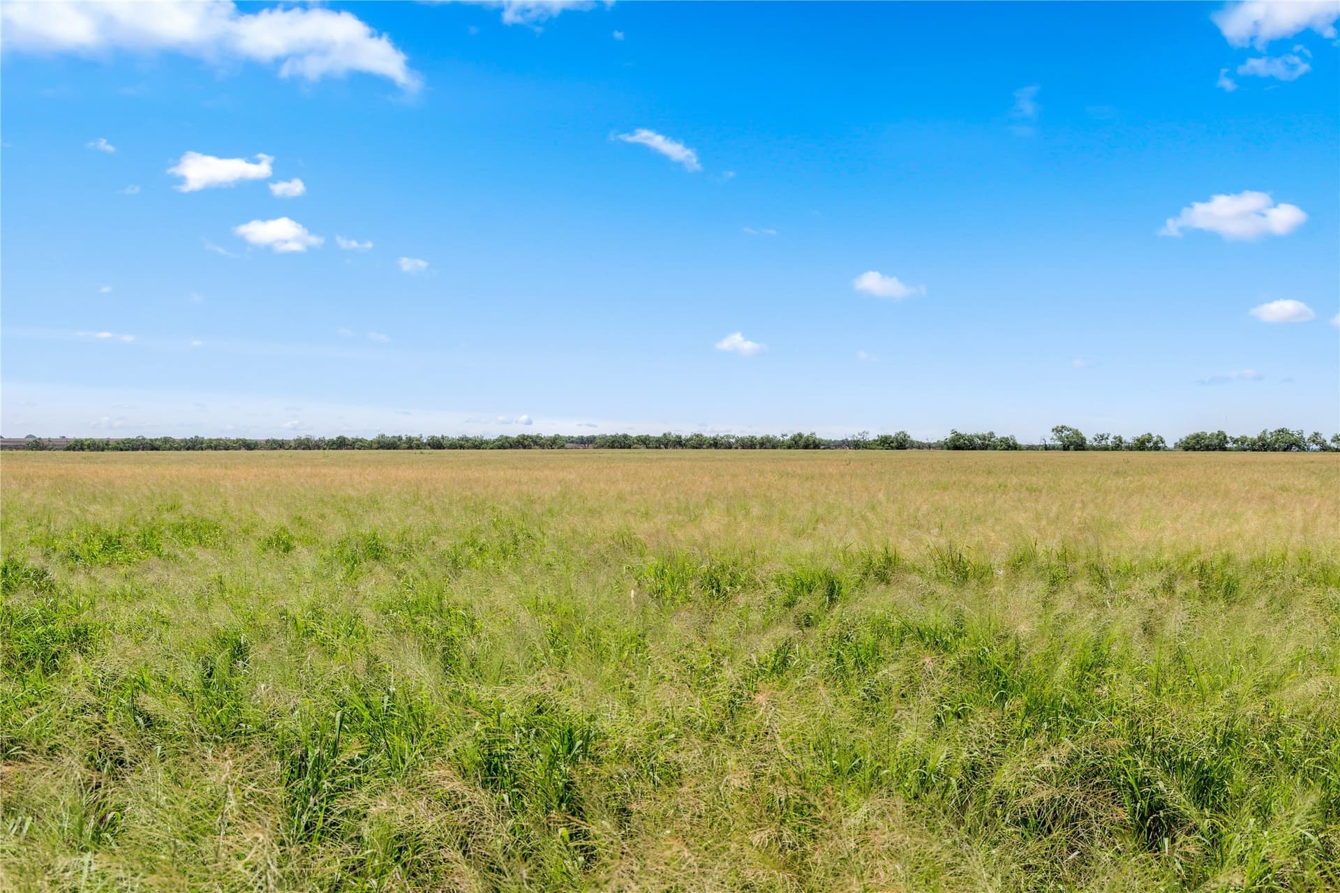 400 acres in Callahan County - photo 15