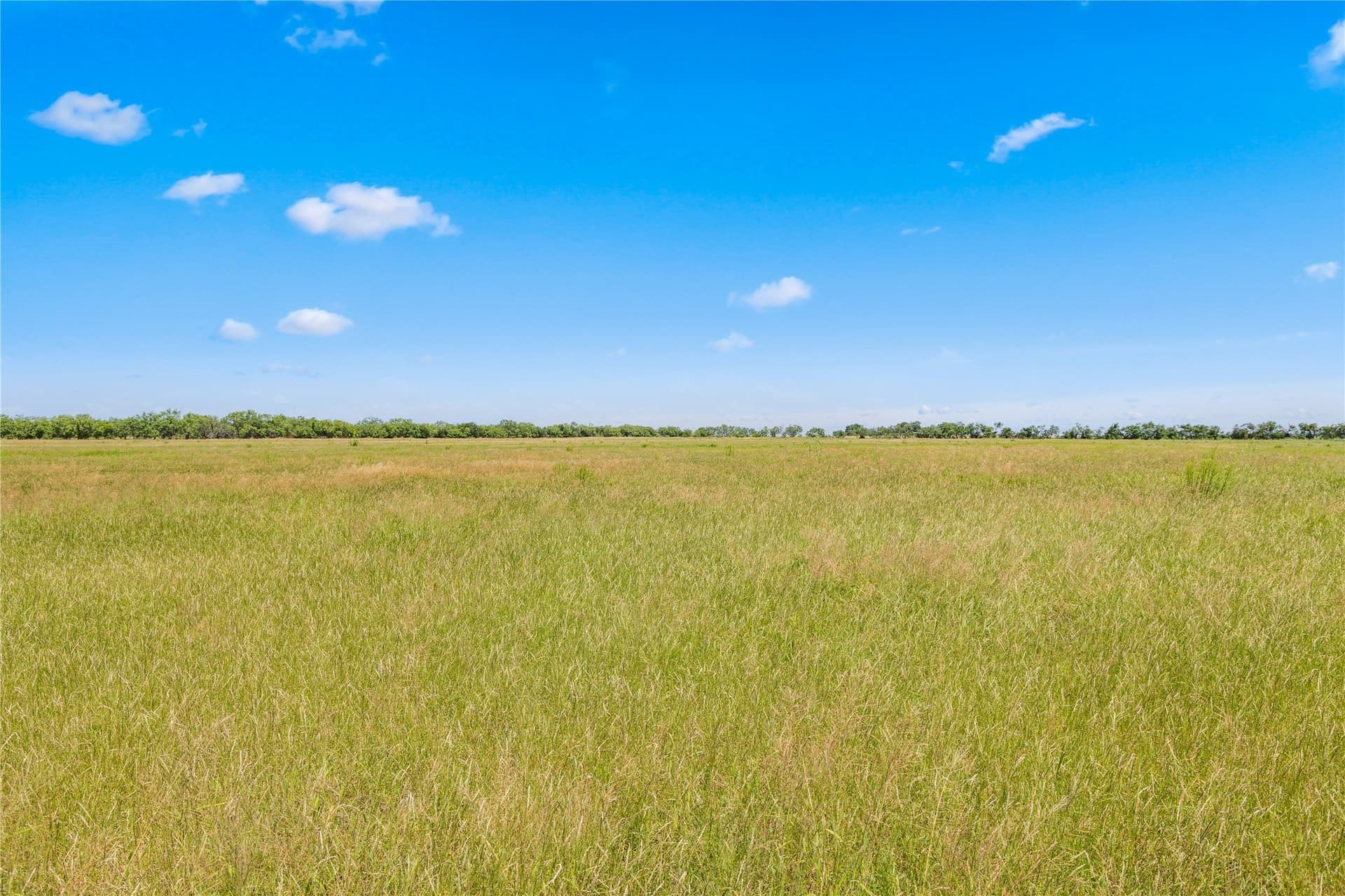 400 acres in Callahan County - photo 13