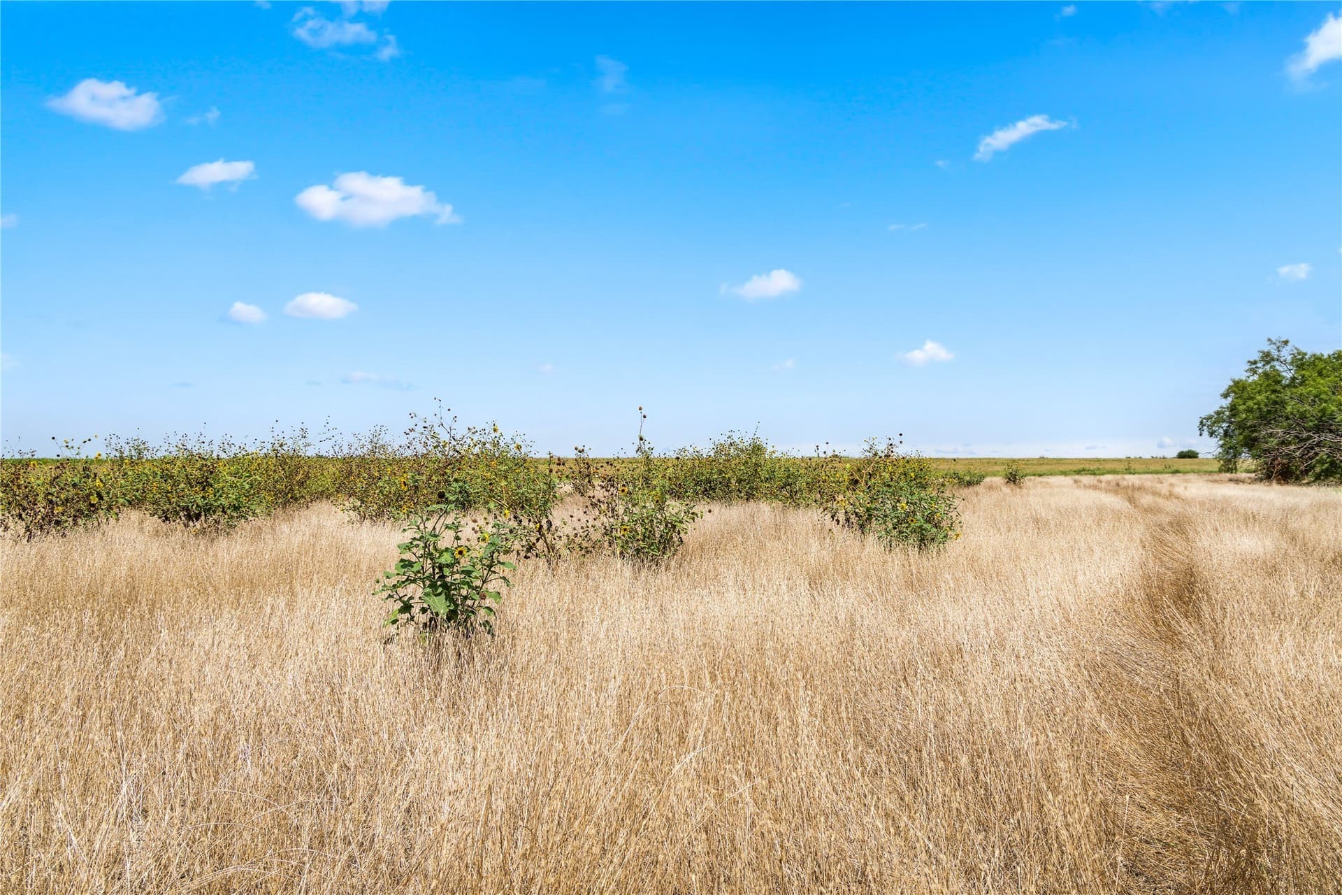 400 acres in Callahan County - photo 18