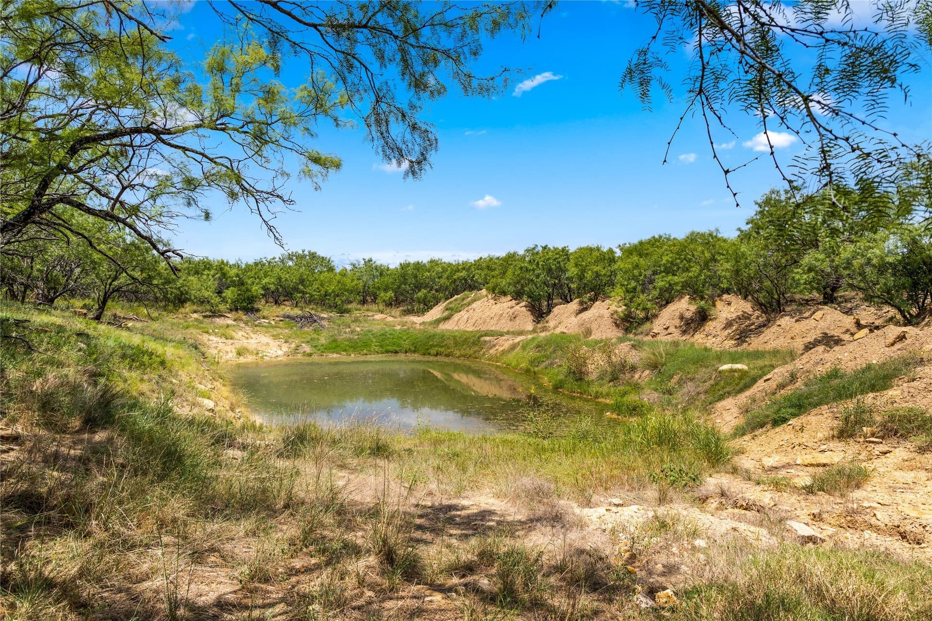 400 acres in Callahan County - photo 7