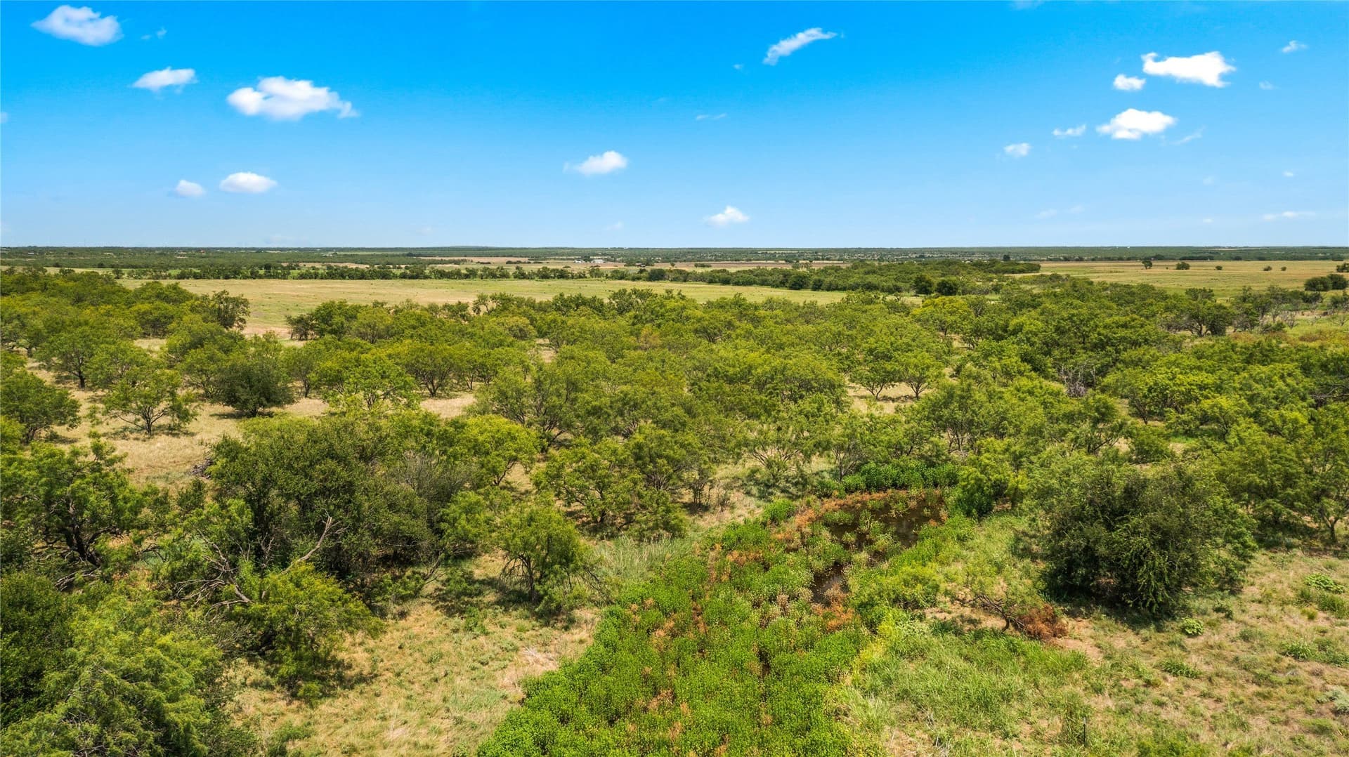 400 acres in Callahan County - photo 36