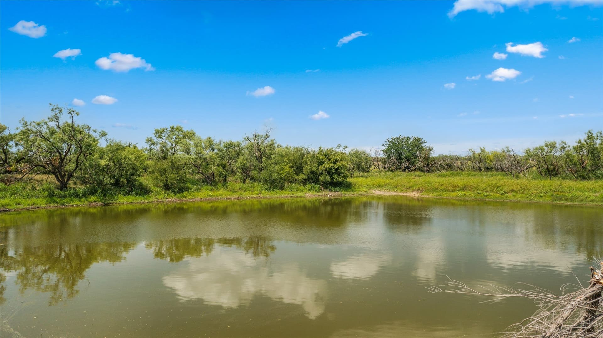 400 acres in Callahan County - photo 4