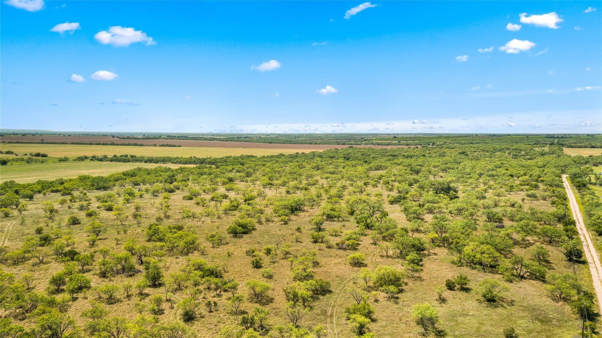 400 acres in Callahan County - photo 24