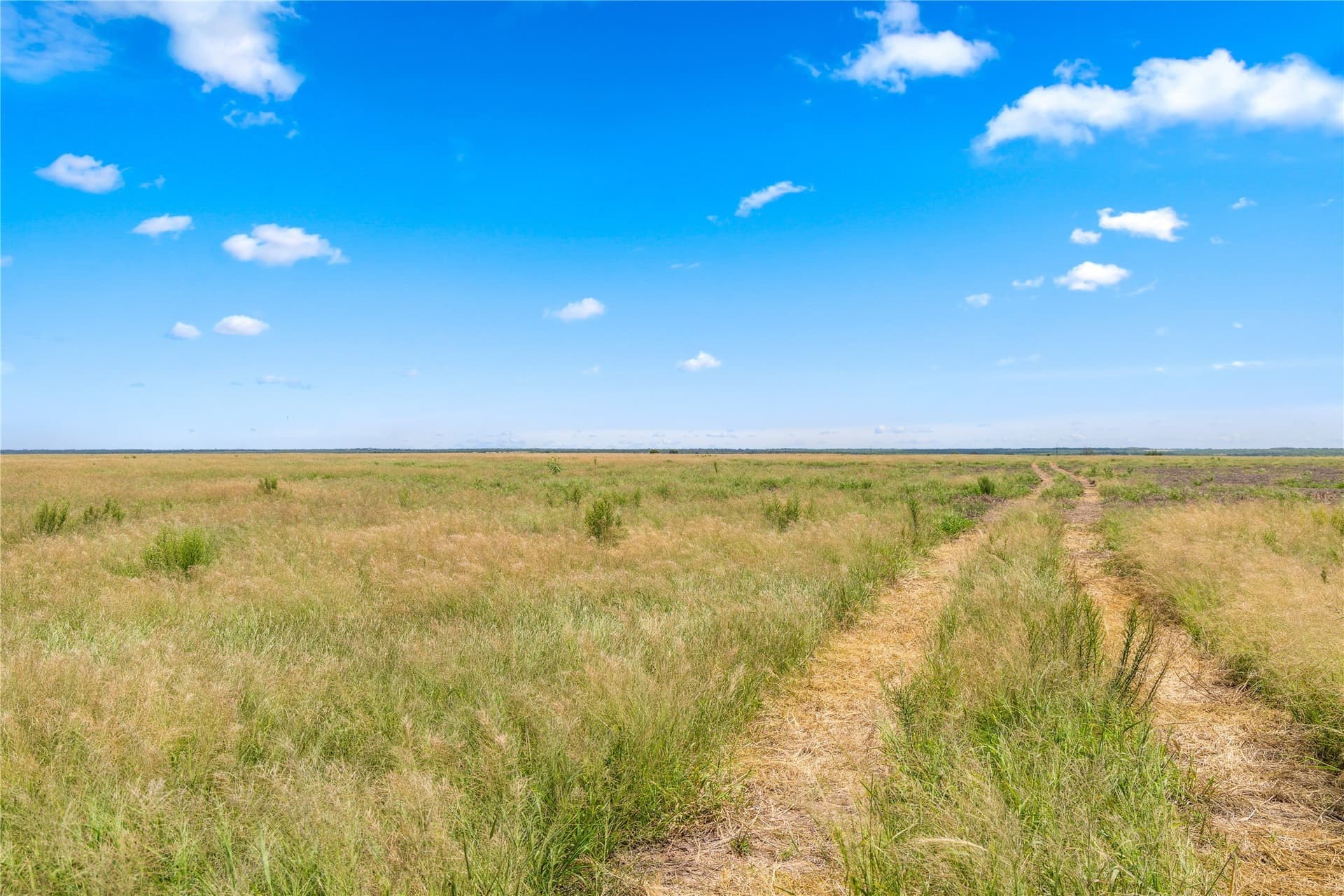 400 acres in Callahan County - photo 8