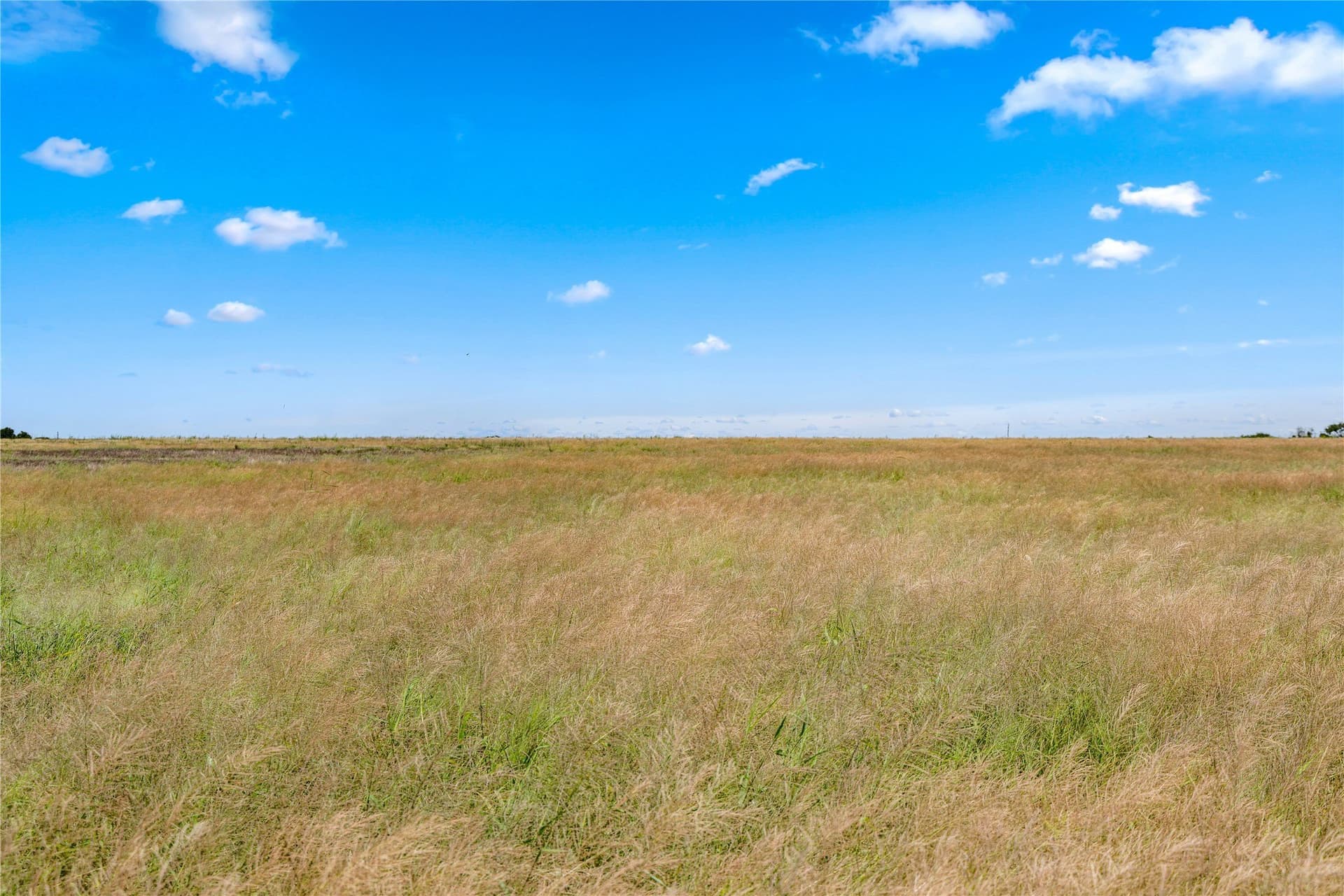 400 acres in Callahan County - photo 22