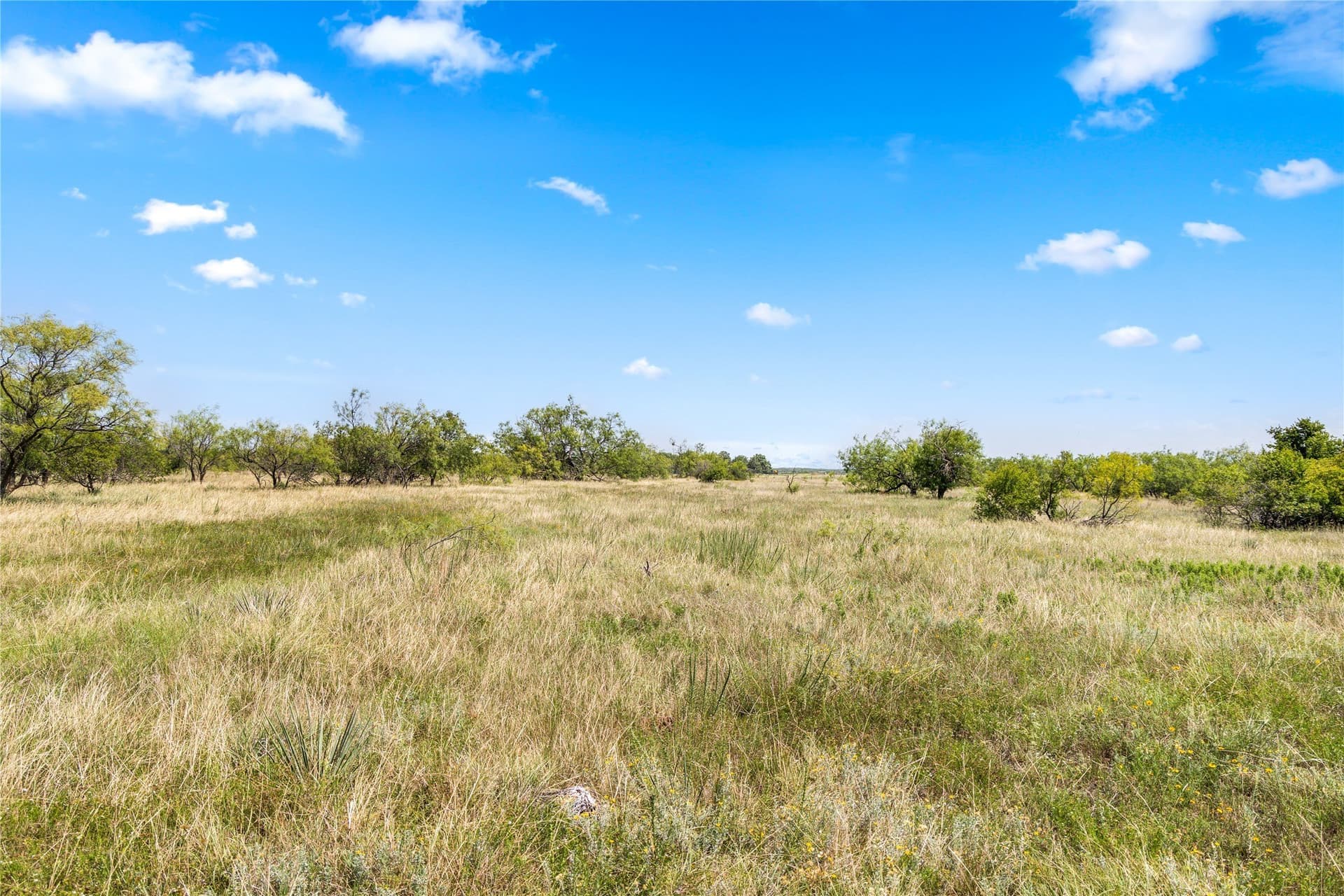 400 acres in Callahan County - photo 12