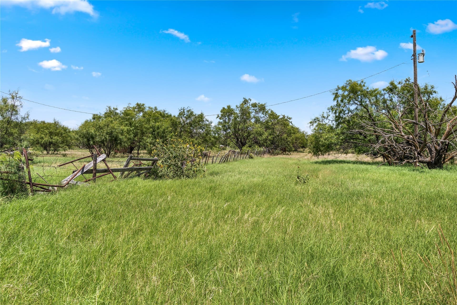 400 acres in Callahan County - photo 20