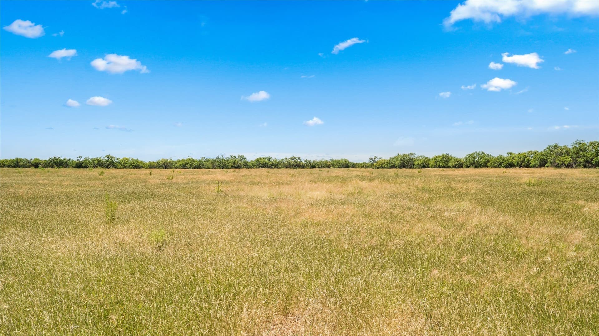 400 acres in Callahan County - photo 28