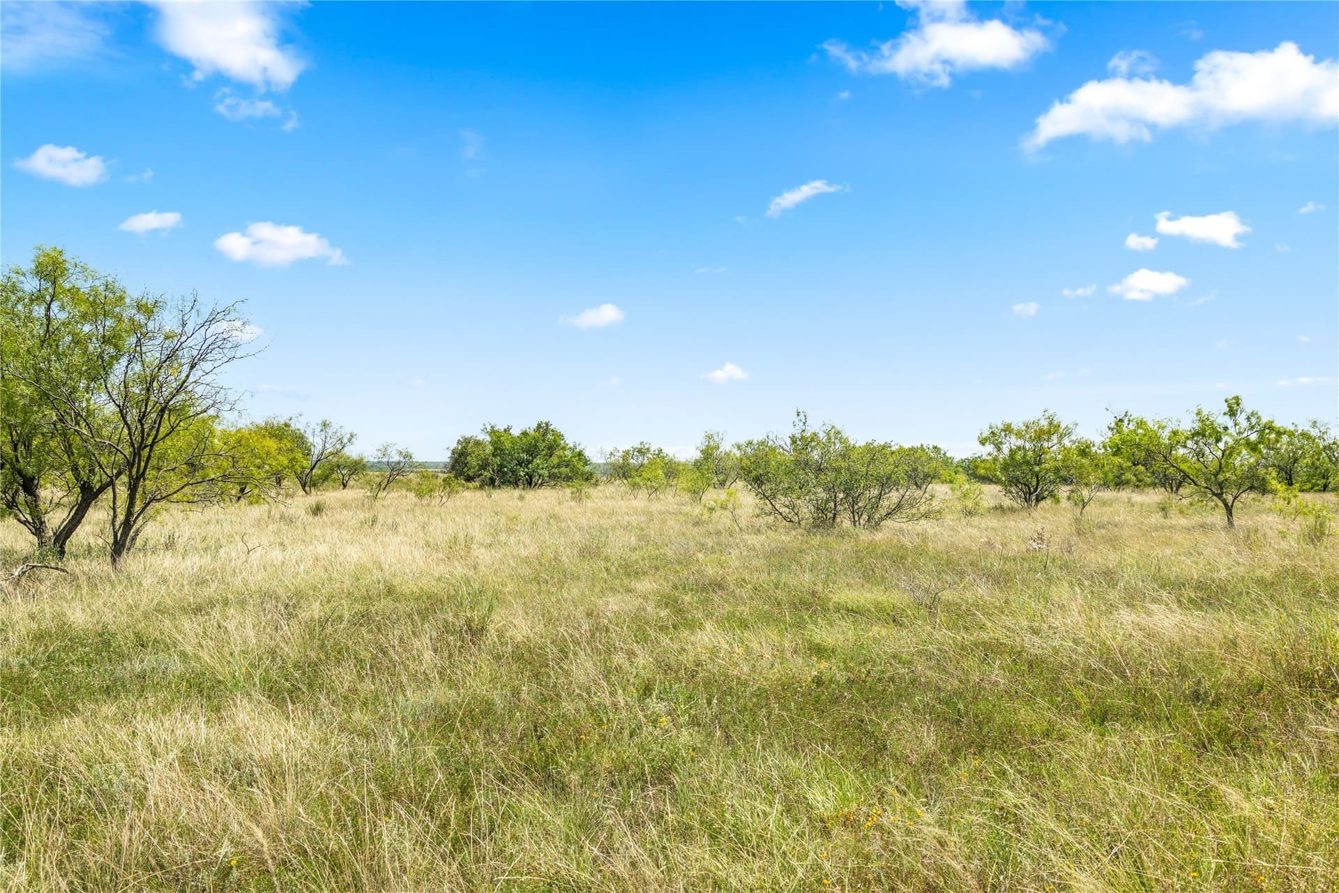 400 acres in Callahan County - photo 10