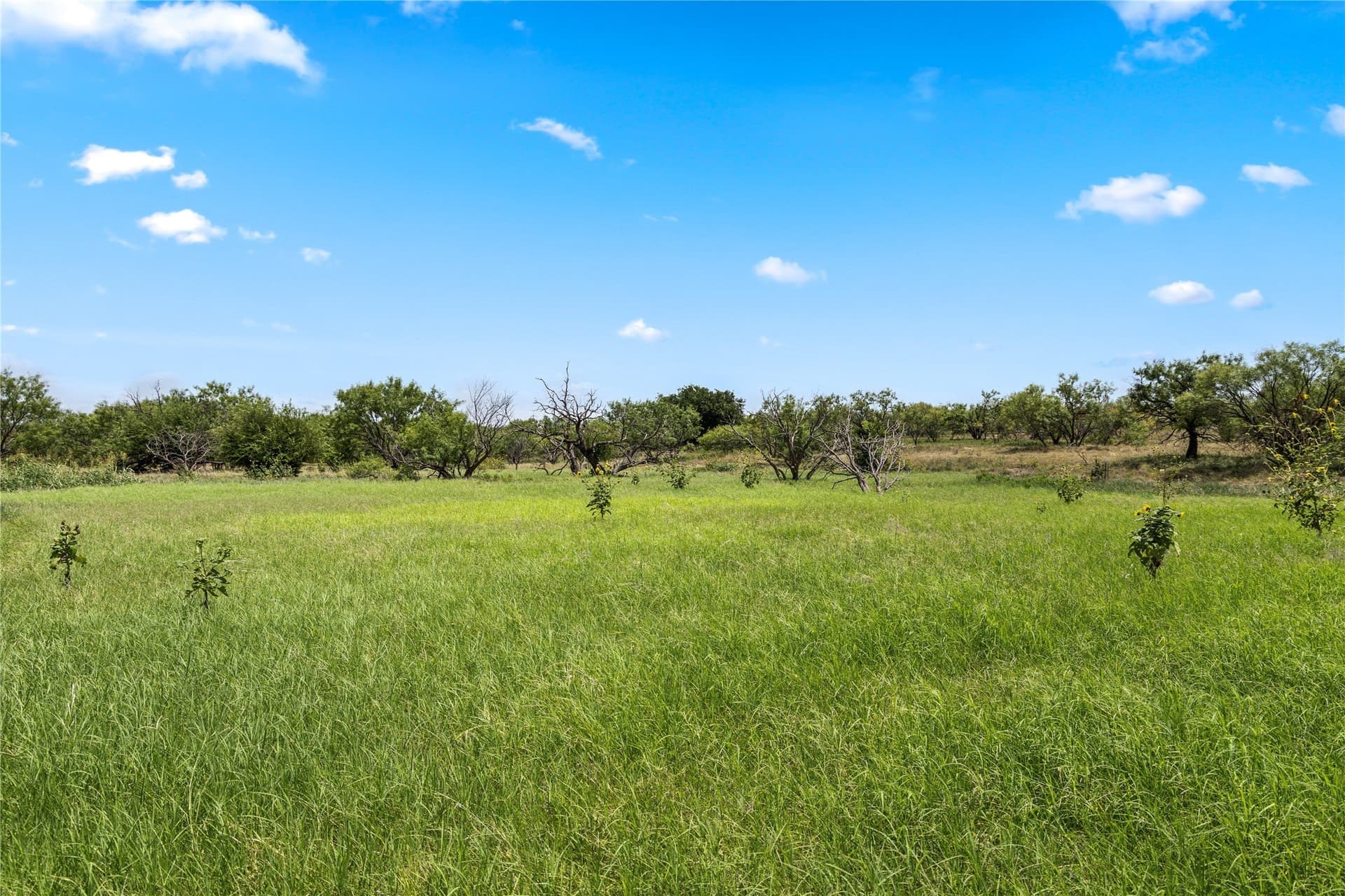 400 acres in Callahan County - photo 19