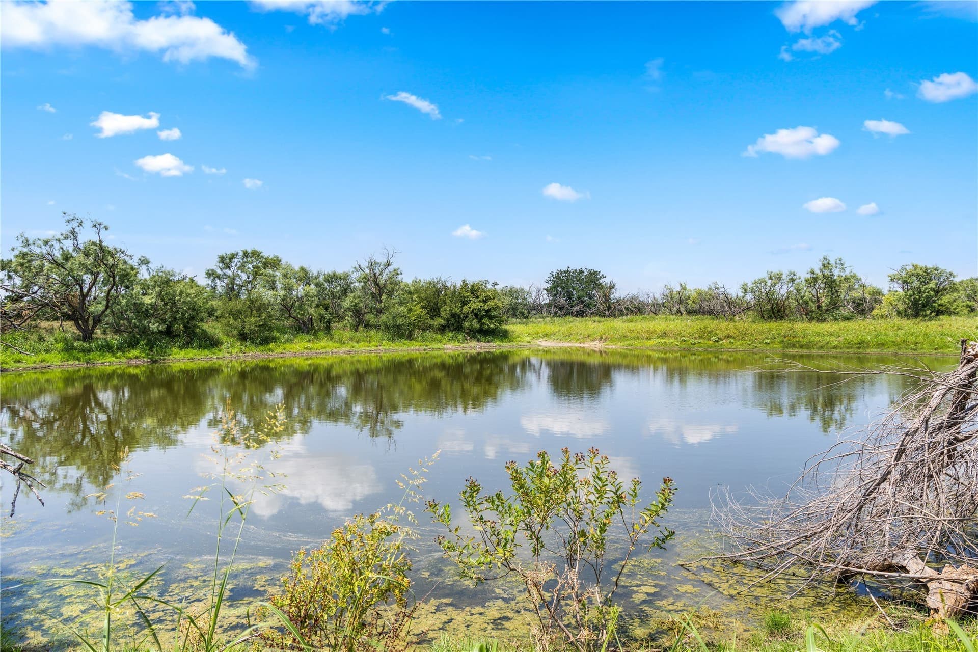 400 acres in Callahan County