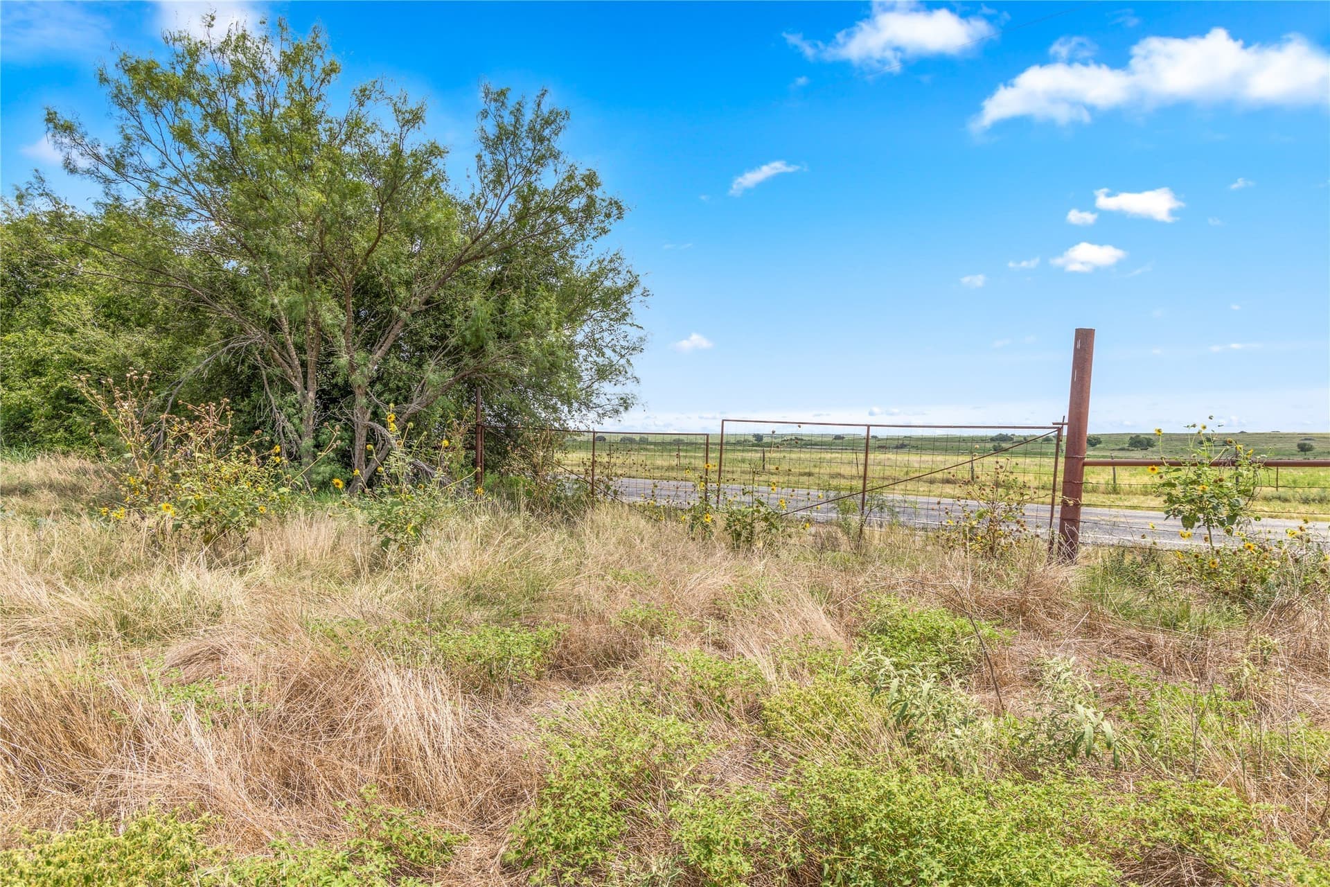 400 acres in Callahan County - photo 17