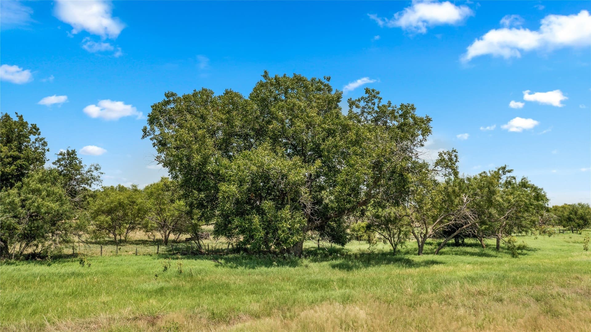 400 acres in Callahan County - photo 37