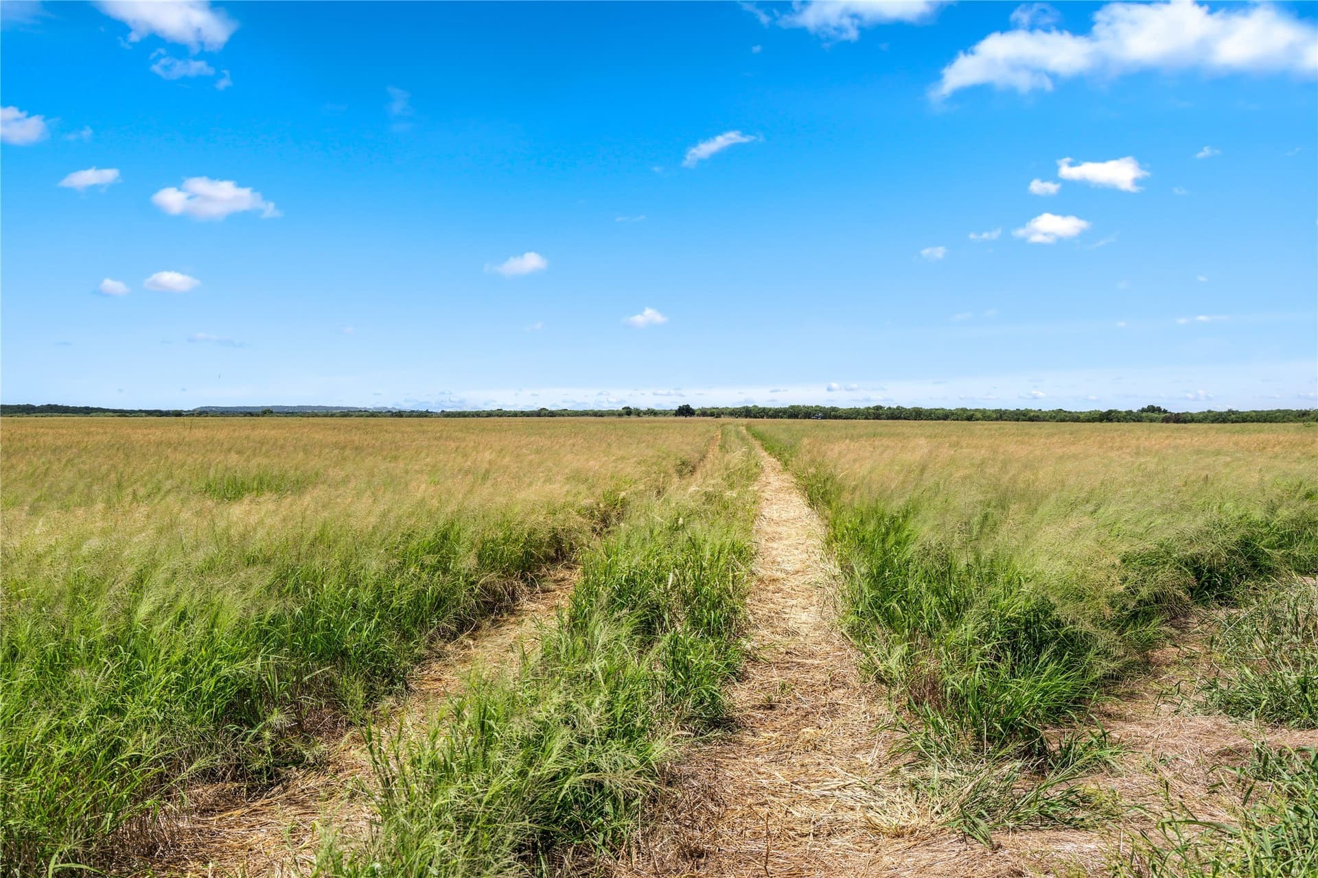 400 acres in Callahan County - photo 3