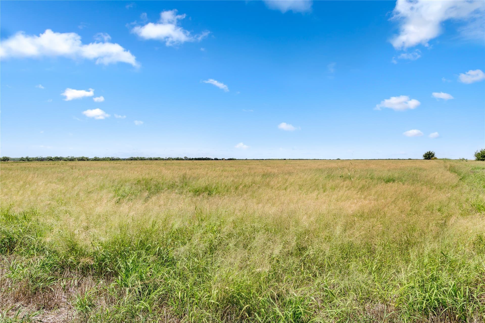 400 acres in Callahan County - photo 16