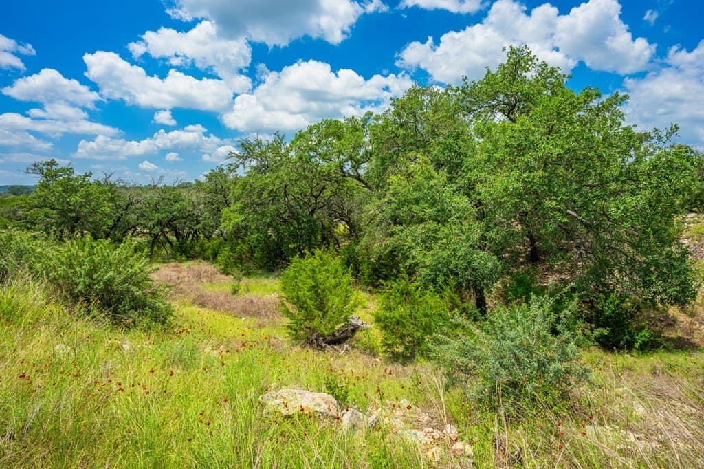 60.18 acres in Kendall County - photo 26