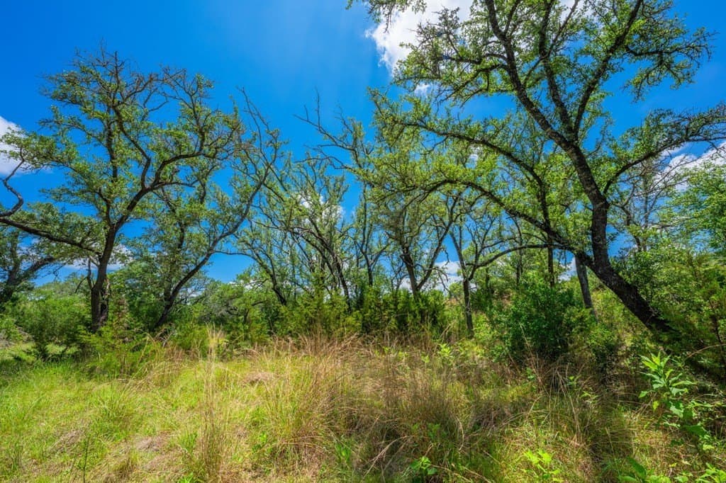 60.18 acres in Kendall County - photo 32