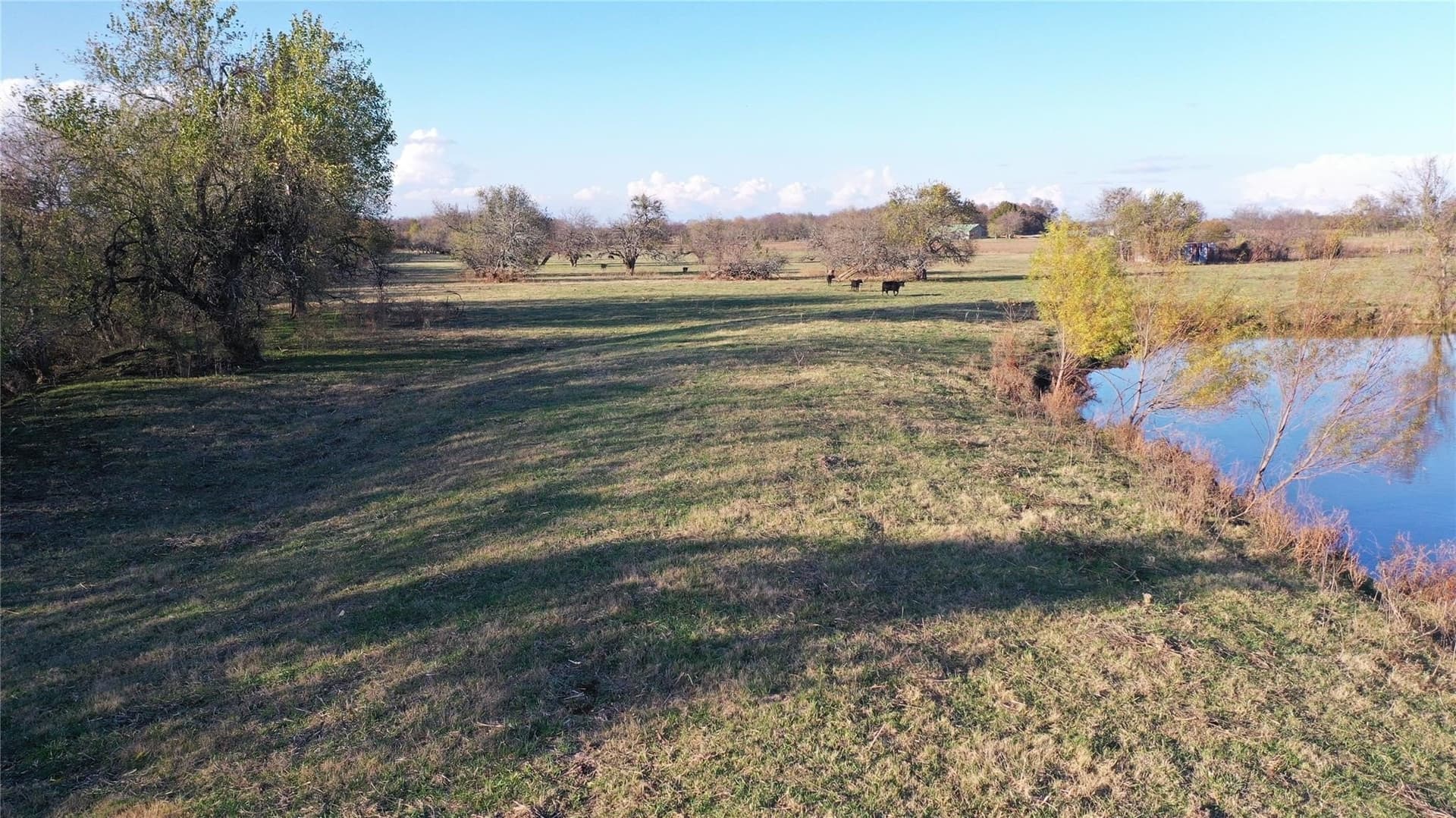126.03 acres in Fannin County - photo 12