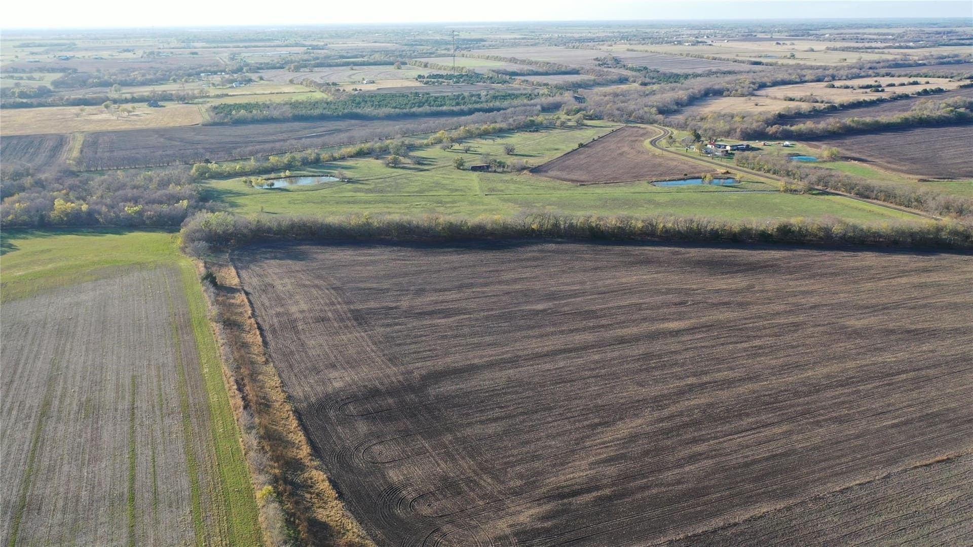 126.03 acres in Fannin County - photo 7