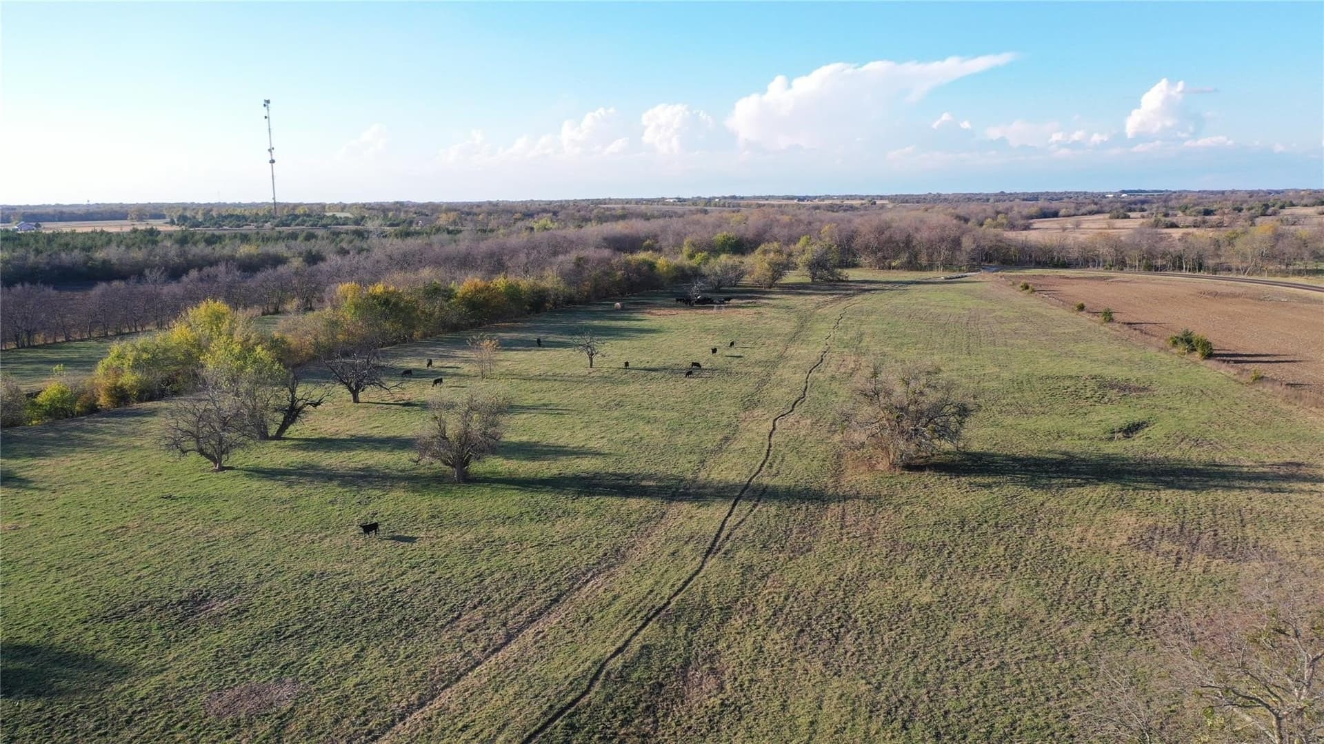 126.03 acres in Fannin County - photo 13