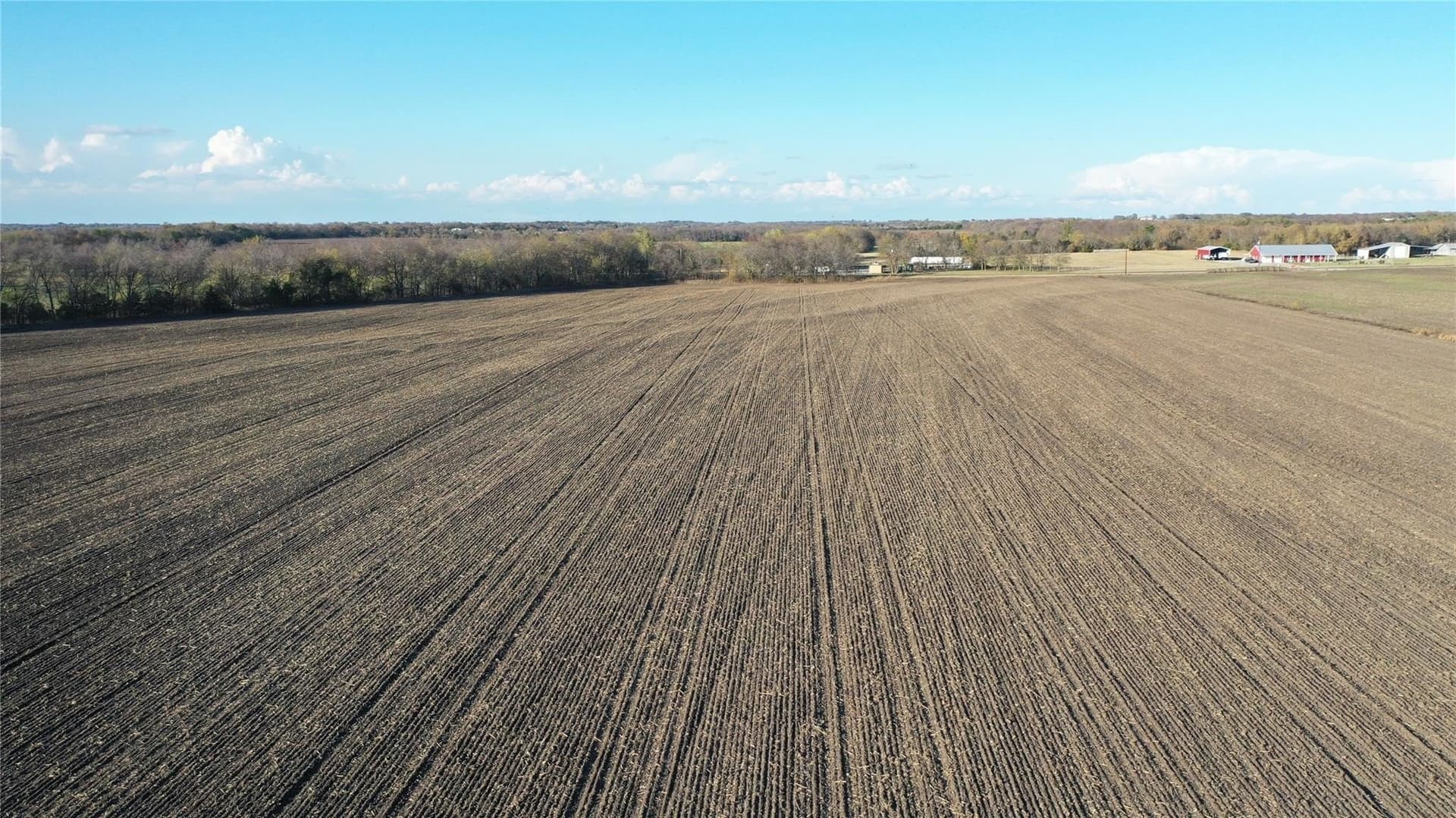 126.03 acres in Fannin County - photo 8