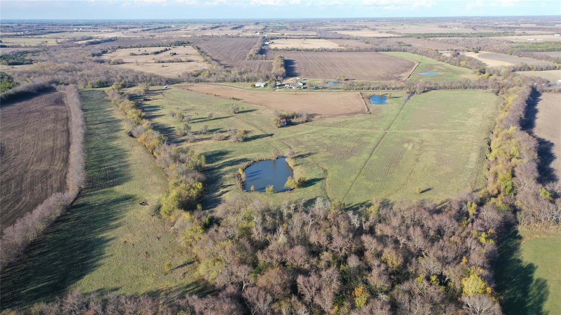 126.03 acres in Fannin County featured view