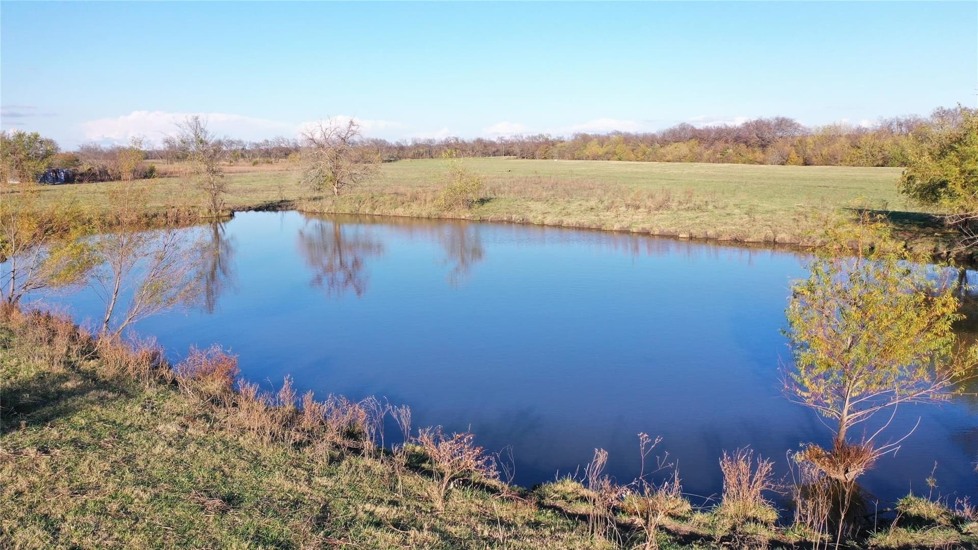 126.03 acres in Fannin County - photo 11