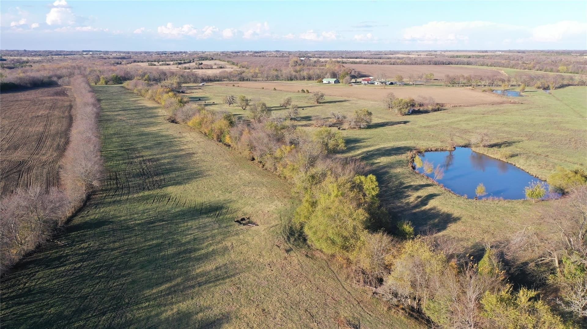 126.03 acres in Fannin County - photo 10