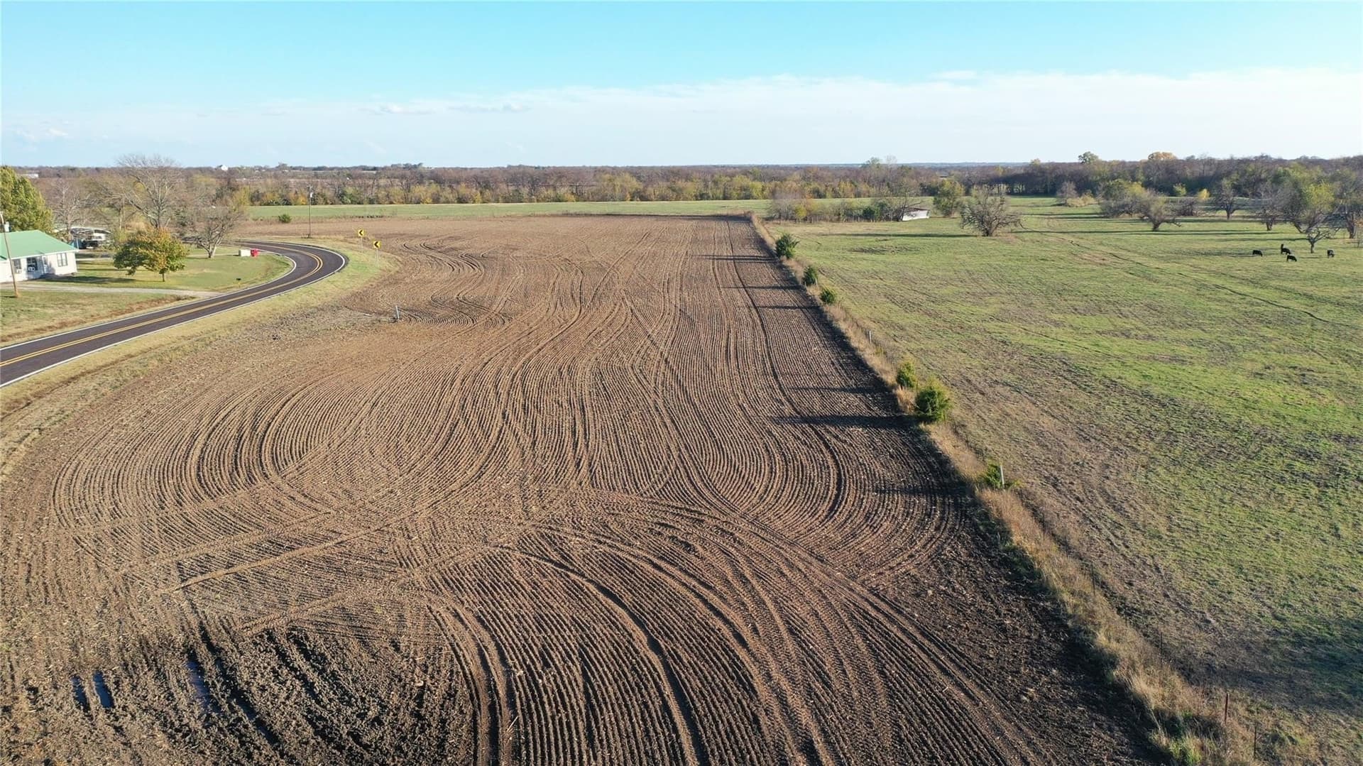 126.03 acres in Fannin County gallery image 2