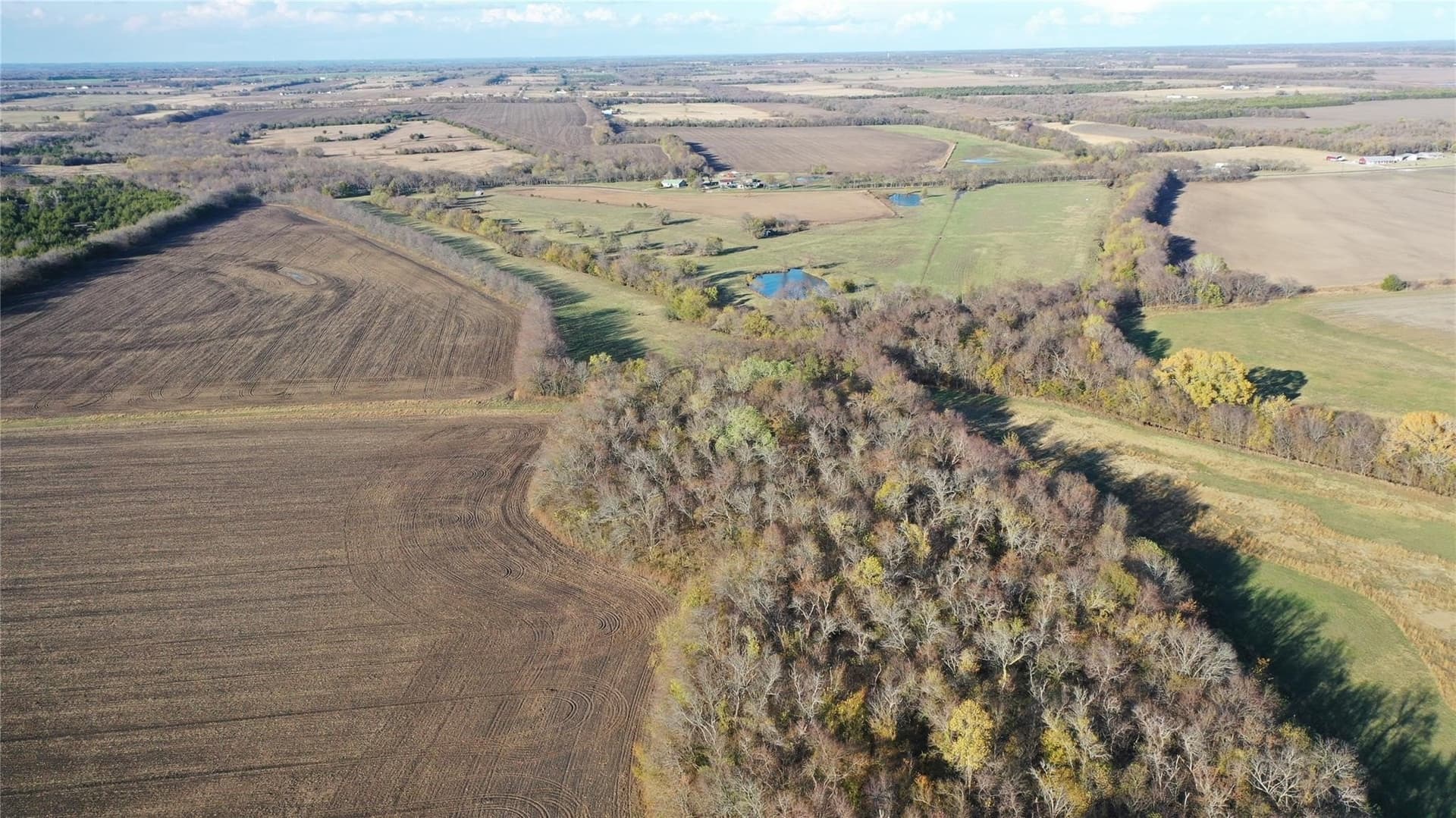 126.03 acres in Fannin County gallery image 4