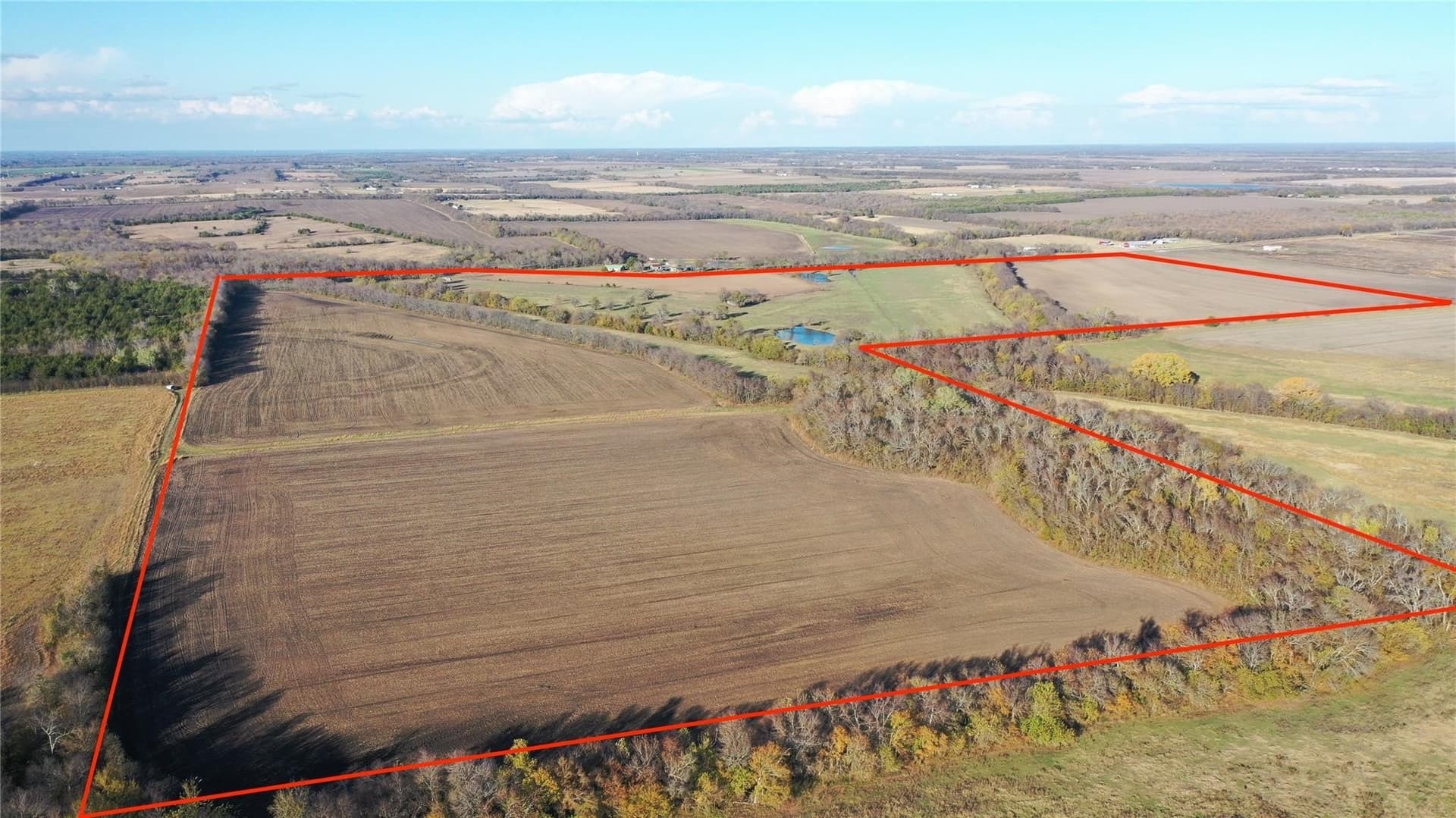 126.03 acres in Fannin County gallery image 3